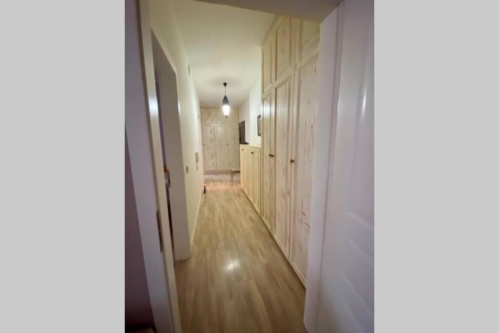 Cozy Lake Front Flat Bequeme Wohnung An Der See Pogradec Zewnętrze zdjęcie